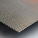 IMG 2284 Metal print