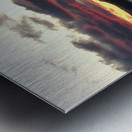 IMG 9872 Metal print