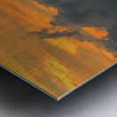 The Lonely Pelican Metal print