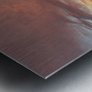 image001 Metal print