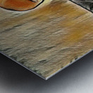 Mevlut 1 Metal print