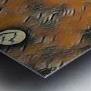 Night Sky 1 Metal print