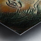 Sadness 4 Metal print