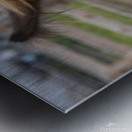 Coucou mon amie    Metal print