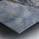  Canard qui joue dans leau Metal print