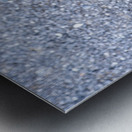 Canard en ville Metal print