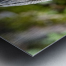 Jolie petit canard du Quebec Metal print