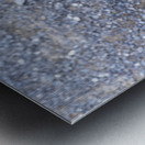 Canard perdu  Metal print