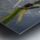 Belle journee au soleil Metal print