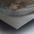 Mon Chat et moi Metal print