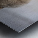 Chat Macro 2 Metal print