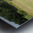 Cheval au galop Metal print