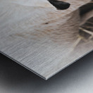 A la ferme Metal print