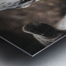 Nouveau bebe chevreau Metal print