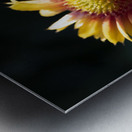 Fleurs decorative Metal print