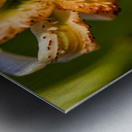 Lys macro Metal print