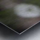 outside 00052 8 Metal print