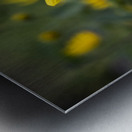 Fleurs Macro Metal print