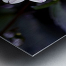 Fleur naturel Metal print