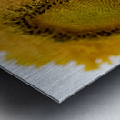 Tournesol big macro Metal print