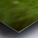 Cosmos solitaire Metal print