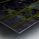 Pluie et deception Metal print