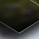 Cosmos sous la pluie Metal print