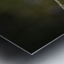 Macros sous la pluie Metal print