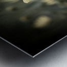 Decorative fleurs dete Metal print