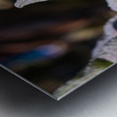 Fleurs inconnue Metal print