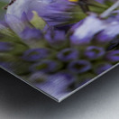 Abeille macro Metal print