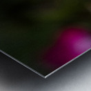 Abeille dans les fleurs Metal print