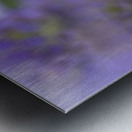 Macro Abeille incroyable Metal print