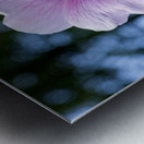 Fleur butiner ete Metal print