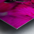 Macro abeille 3 Metal print