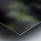 Macro Majesty: Monarch Butterfly and Flowers 2 Metal print