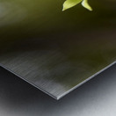 Elegance veneneuse : Lintensite dune belladone en macro avec un fond bokeh Metal print