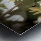 Nature reinventee : Decouvrez le tournesol en macro desature  Metal print