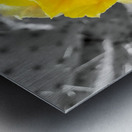 Honey Time Metal print