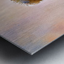 IMG 0087 Metal print