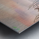 2023 06 29 15 47 51 Metal print