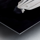 Inspired By Black And White Metal print