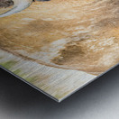 Stare Down Metal print