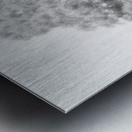 We Three Trees of the Scottish Highlands in High Glossy Monochrome Metal print