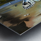 IMG 0197 Metal print