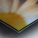 Petal devotion Metal print