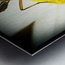 Vegetarian Mosquito Metal print