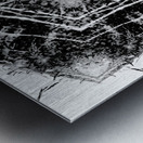 Abstract Black and White Long Grass  Metal print