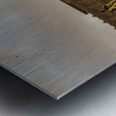 Statue of Victor Emmanuel; Rome, Italy Metal print