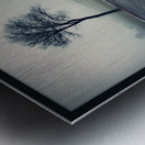 Mirrored Metal print